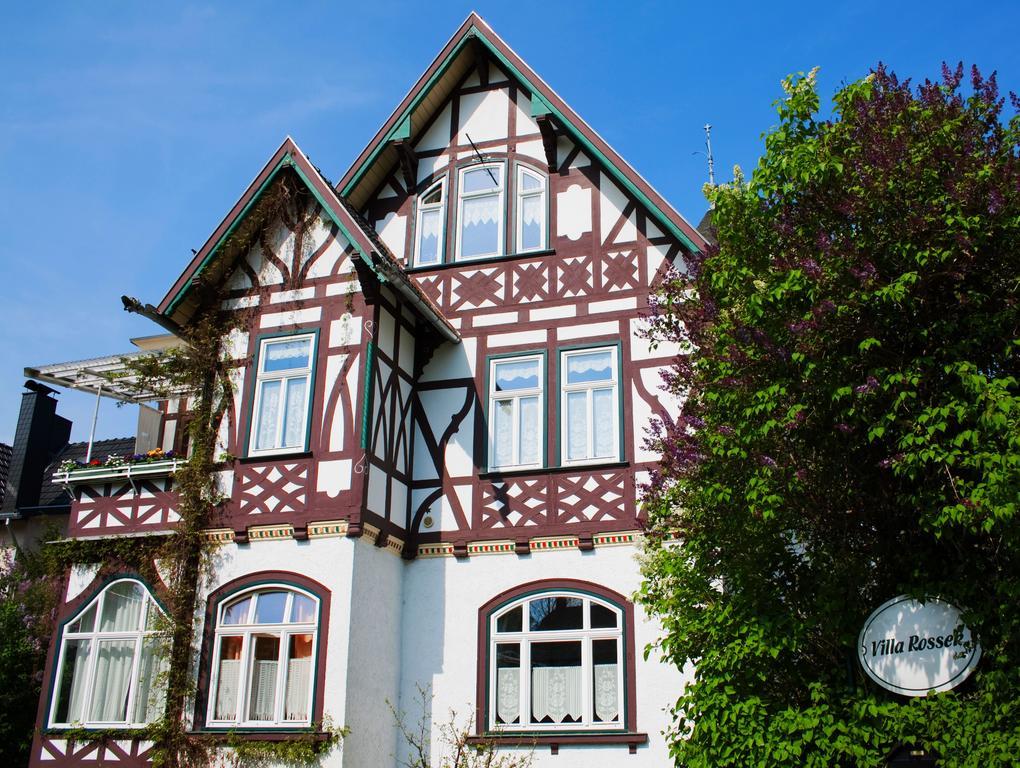 Hotel Villa Rossek Bad Liebenstein Exteriör bild