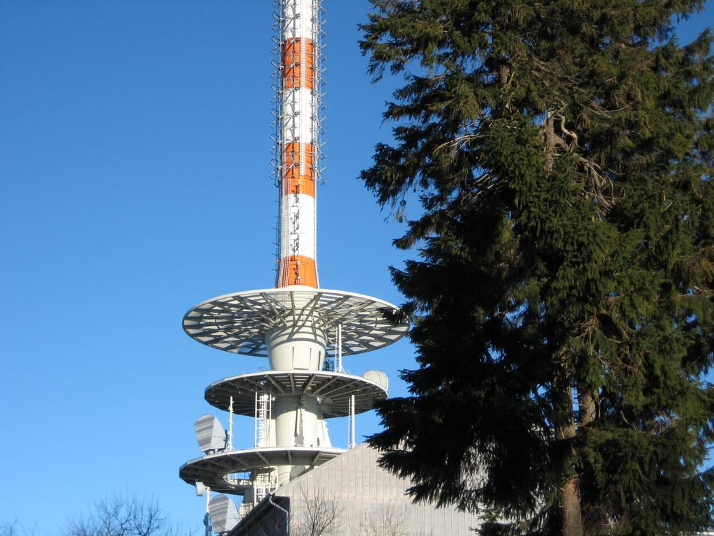 Hotel Villa Rossek Bad Liebenstein Exteriör bild