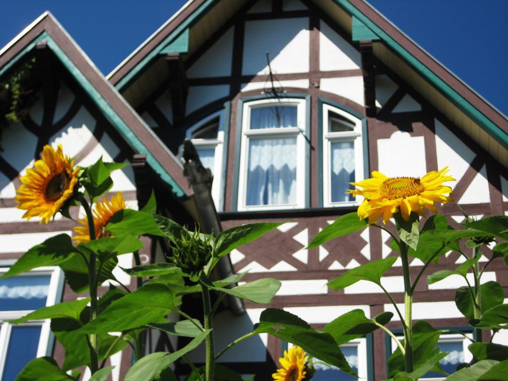 Hotel Villa Rossek Bad Liebenstein Exteriör bild
